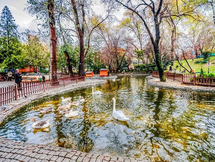 ankara tho nhi ky 8