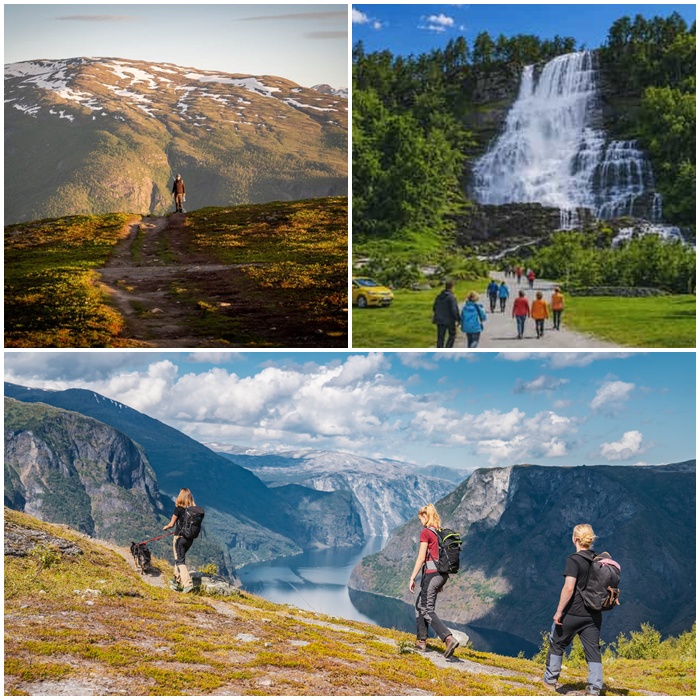 aurlandsfjord na uy 9