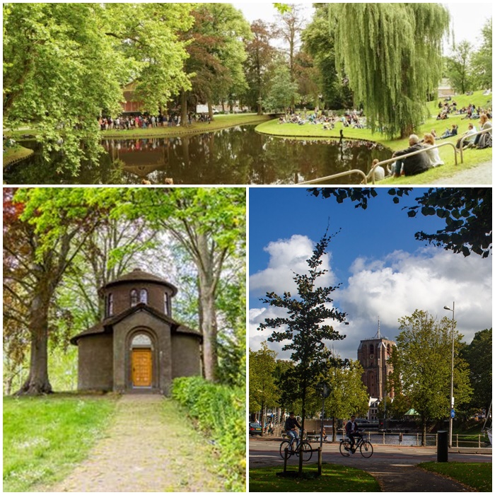 leeuwarden y 12