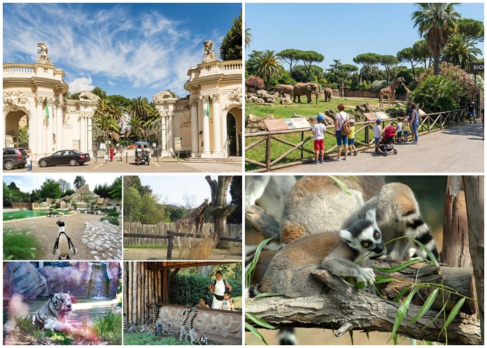 villa borghese y 9