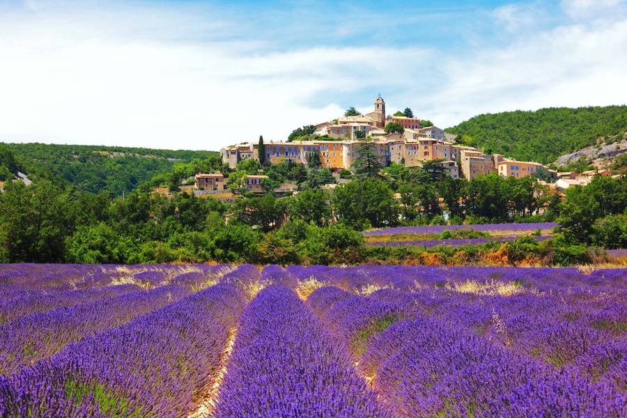 provence 1