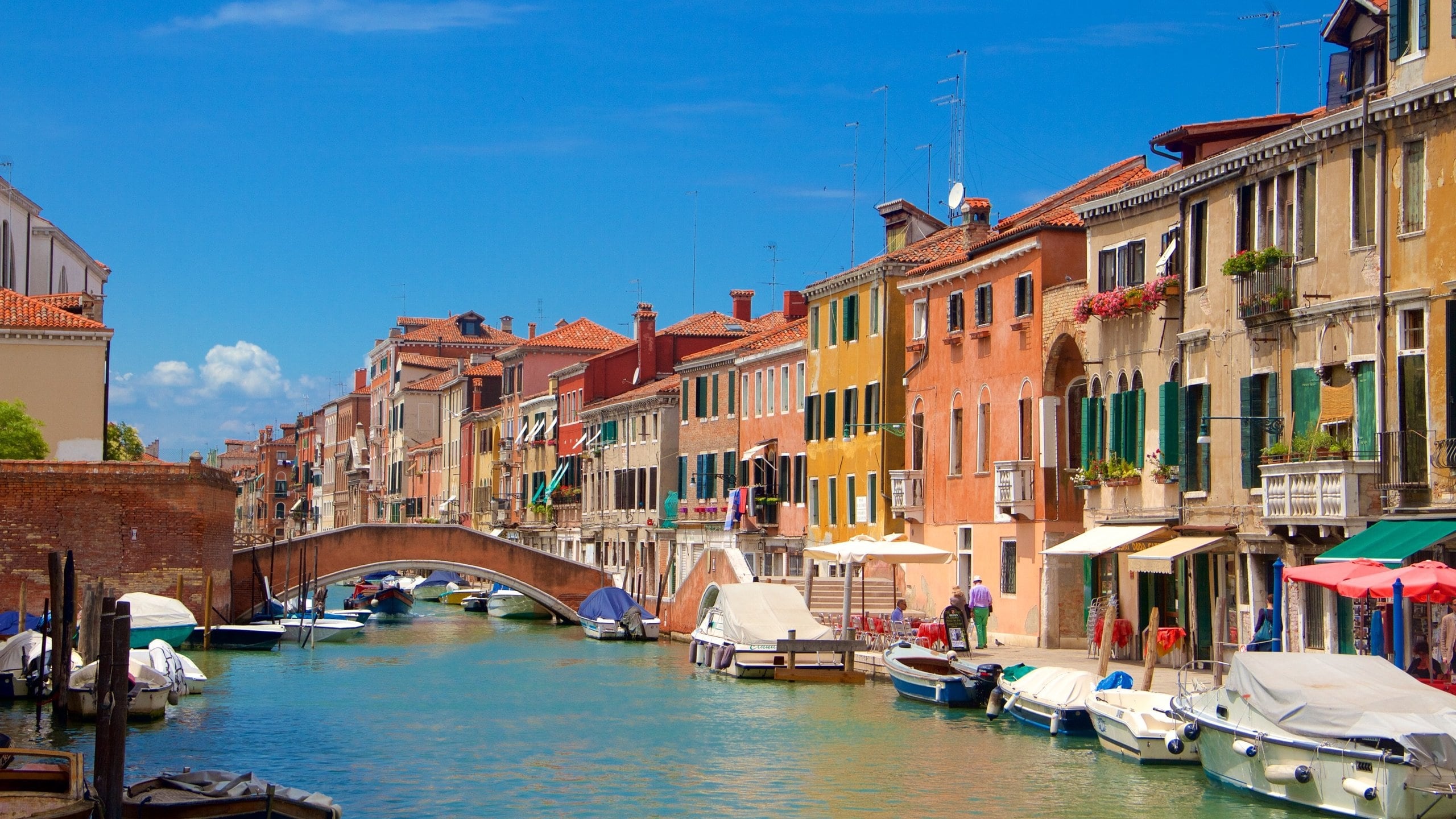 venicce 3