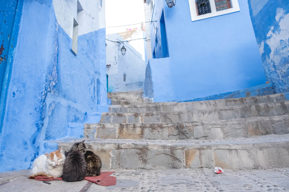 Chefchaouen 12