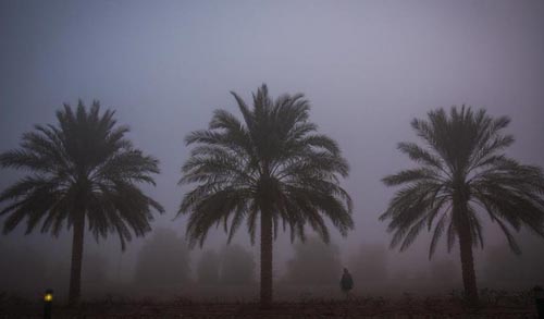 Suong mu dubai 1.8