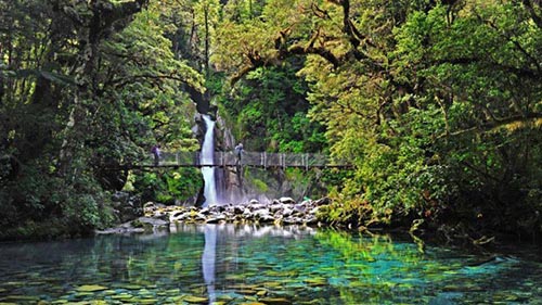 Thuong ngoan Milford TrailNew Zealand 1.2