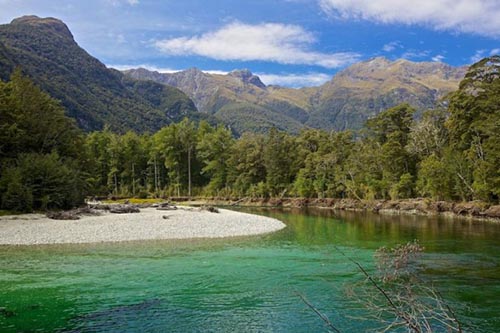 Thuong ngoan Milford TrailNew Zealand 1.3