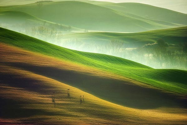 Tuscany 1.6
