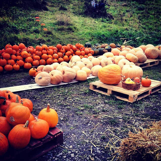 5 le hoi hallowen chau au 4