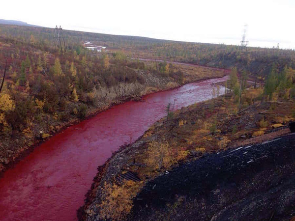 Siberia 4