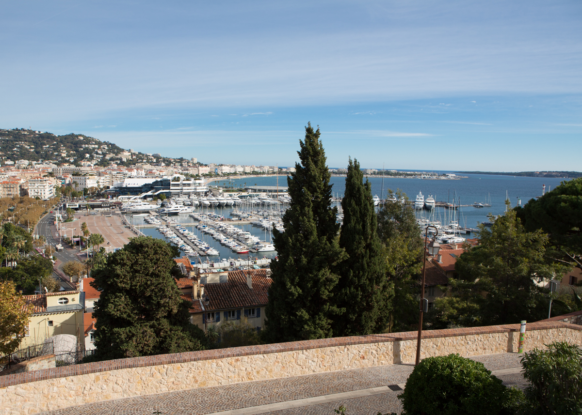 cannes 5