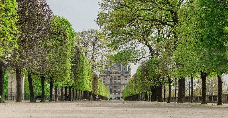 vuon Tuileries 5