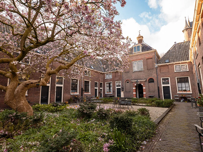leiden ha lan 12