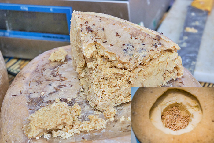 casu marzu y 2