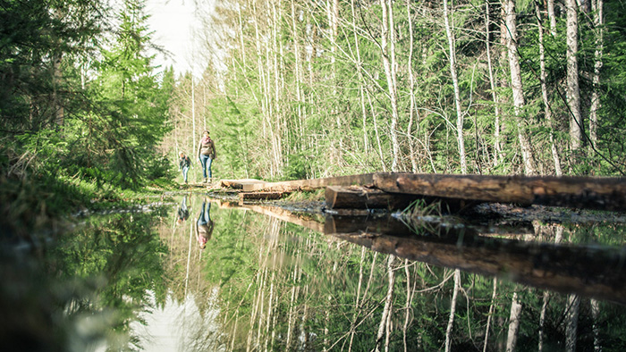tampere phan lan 2