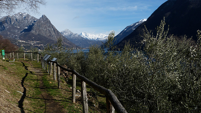 lugano thuy si 9