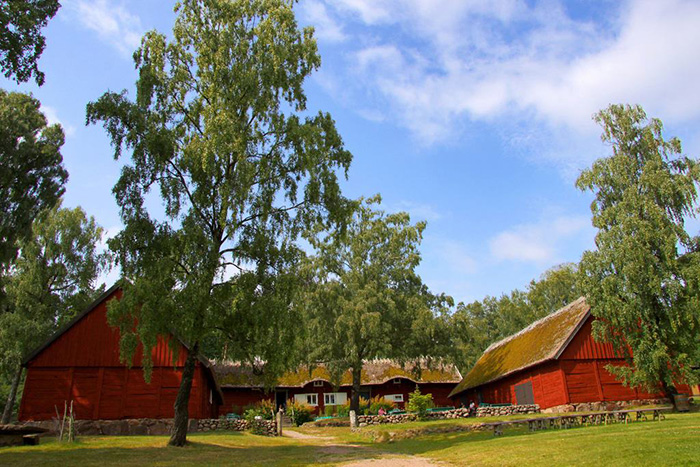 halmstad thuy dien 4