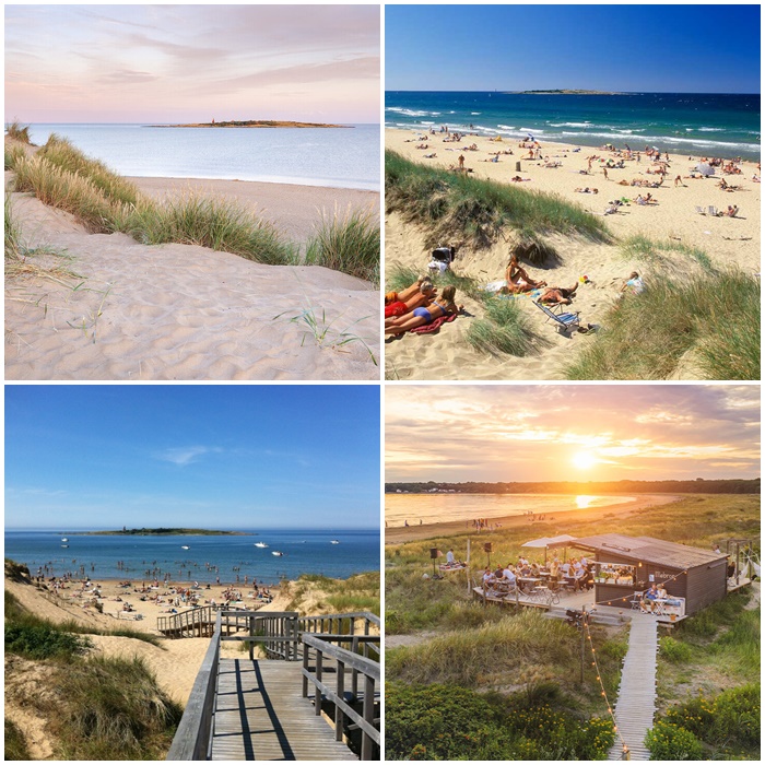 halmstad thuy dien 8