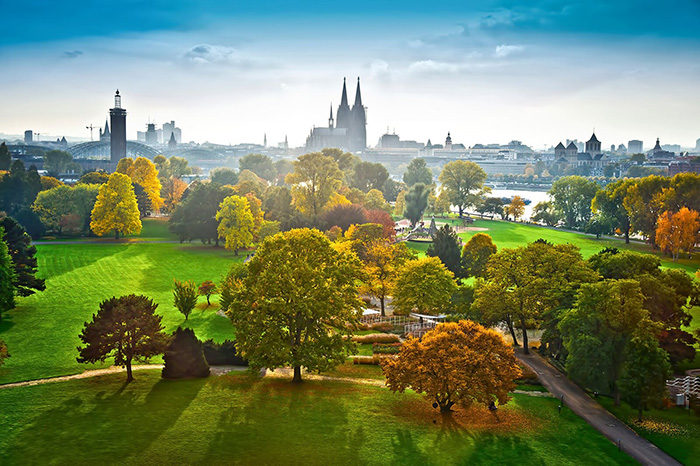 cologne duc 6