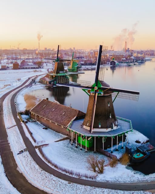 zaanse sachan mùa đông